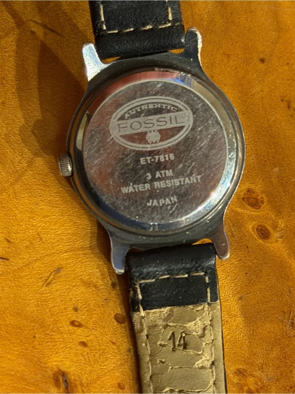 Fossil reposhing this